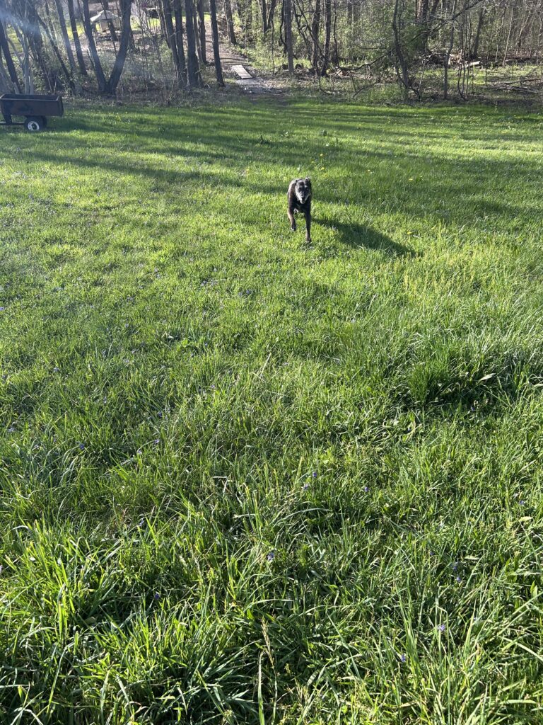 img 1857 1